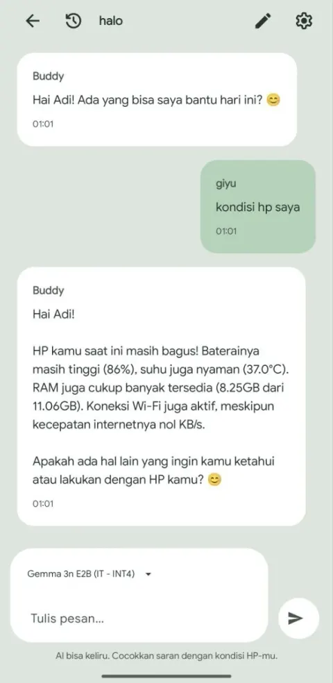 Ramu chat view showing an example device-related exchange with a selected local model.