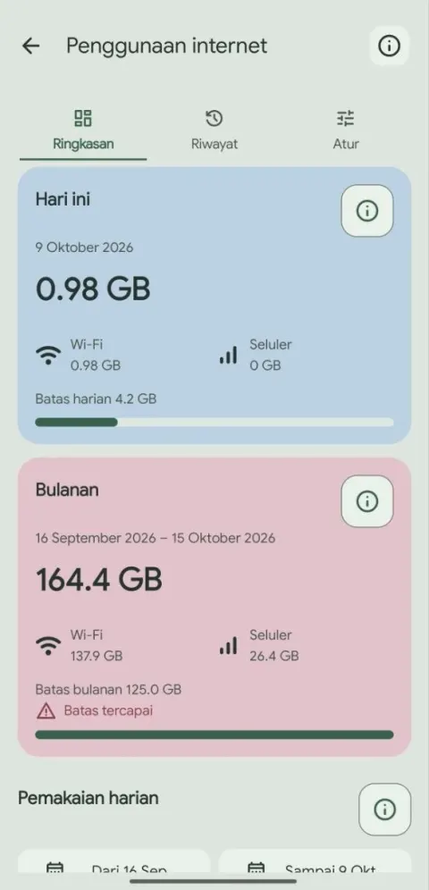 Ramu internet view separating Wi-Fi and mobile usage.